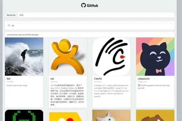 Aperçu du projet Github Searcher